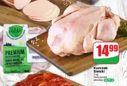 Dino Kurczak Sielski oferta