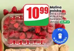 Dino Maliny polskie oferta