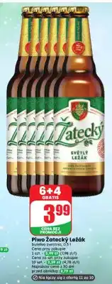 Dino Piwo Žatecký Ležák oferta