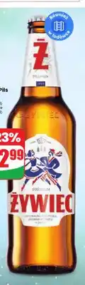 Dino Piwo Żywiec oferta
