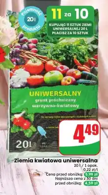 Dino Ziemia kwiatowa uniwersalna oferta