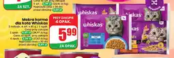 Dino Mokra karma dla kota Whiskas 4-pak oferta