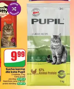 Dino Sucha karma dla kota Pupil oferta