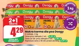 Dino Mokra karma dla psa Doogy oferta