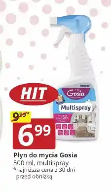 Prymus-AGD Płyn do mycia multispray Gosia oferta