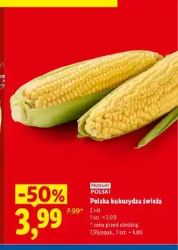 Lidl Kukurydza polska świeża oferta