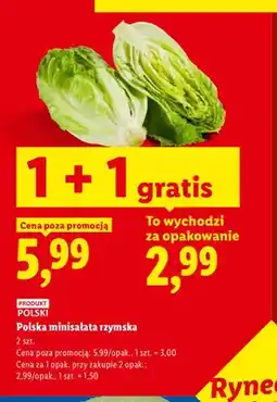 Lidl Minisałata rzymska polska oferta