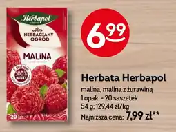 Żabka Herbata Herbapol malina oferta