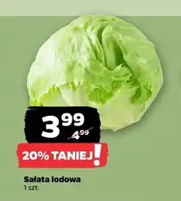 Netto Sałata lodowa oferta