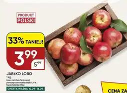 Chata Polska Jabłka Lobo oferta