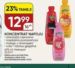 Chata Polska Koncentrat napoju oranżada czerwona Herbapol oferta