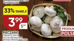 Chata Polska Pieczarki oferta