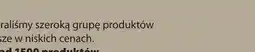 JYSK GOLD NAJWYŻSZA JAKOŚĆ oferta