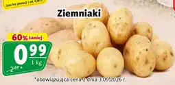 Prim Market Ziemniaki oferta