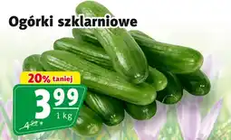 Prim Market Ogórki szklarniowe oferta