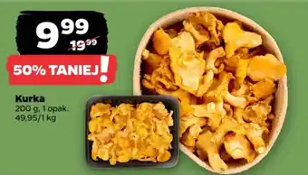 Netto Kurka oferta