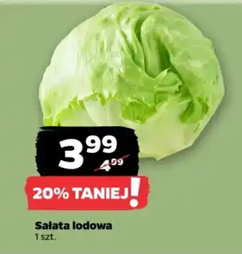 Netto Sałata lodowa oferta