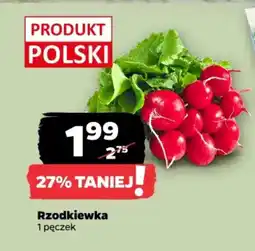 Netto Rzodkiewka oferta