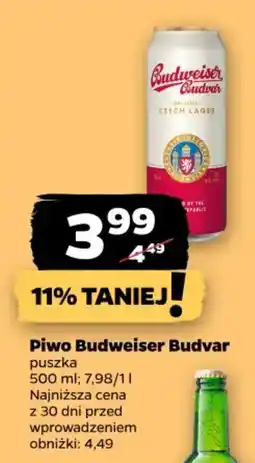 Netto Piwo Budweiser Budvar oferta