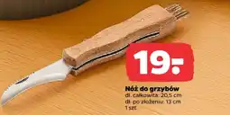 Netto Nóż do grzybów oferta