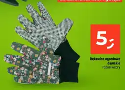 Dealz Rękawice ogrodowe damskie oferta