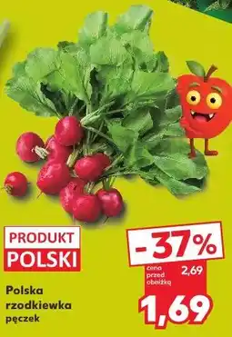 Kaufland Polska rzodkiewka oferta