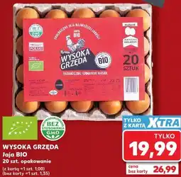 Kaufland Wysoka Grzęda Jaja BIO 20 szt oferta