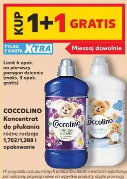 Kaufland Coccolino Koncentrat do płukania oferta