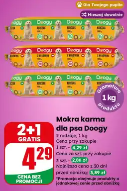 Dino Mokra karma dla psa Doogy oferta