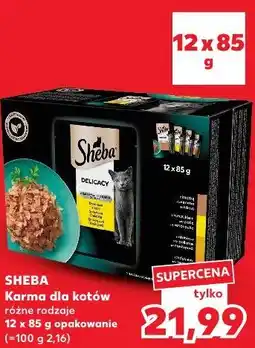 Kaufland SHEBA Karma dla kotów różne rodzaje oferta