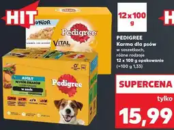 Kaufland Pedigree Karma dla psów w saszetkach, różne rodzaje oferta