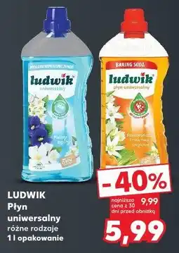 Kaufland LUDWIK Płyn uniwersalny oferta