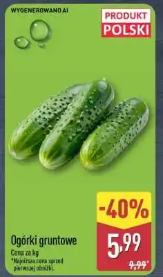 ALDI Ogórki gruntowe oferta