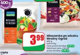 Dino Mieszanka po włosku Mroźny Ogród oferta