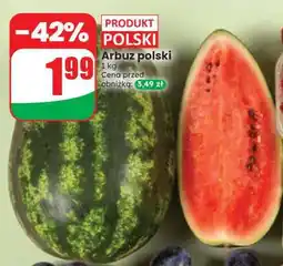 Dino Arbuz polski oferta