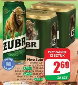 Dino Piwo ŻUBR oferta