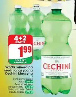 Dino Woda mineralna średnionasycona Cechini Muszyna oferta