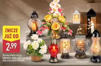 ALDI Znicze oferta