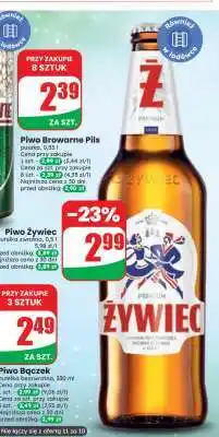 Dino Piwo Żywiec oferta
