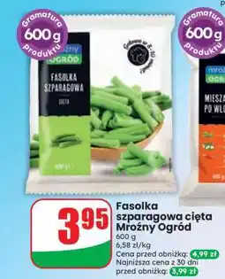 Dino Fasolka szparagowa cięta Mroźny Ogród oferta