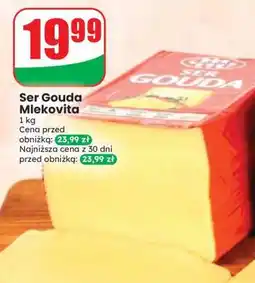 Dino Ser Gouda Mlekovita oferta