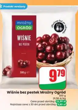 Dino Wiśnie bez pestek Mroźny Ogród oferta