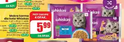 Dino Mokra karma dla kota Whiskas oferta