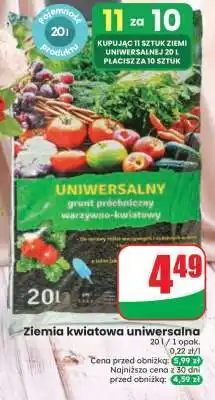 Dino Ziemia kwiatowa uniwersalna oferta