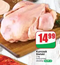 Dino Kurczak sielski oferta