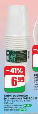 Dino Kubki papierowe jednorazowe Grill & Chill oferta