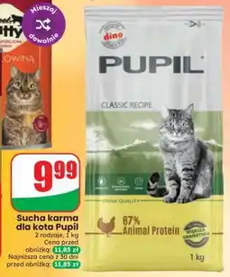 Dino Sucha karma dla kota Pupil oferta