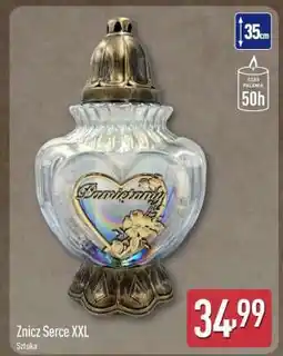 ALDI Znicz Serce XXL oferta
