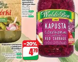 Dino Kapusta czerwona z jabłkiem WaldiBen oferta