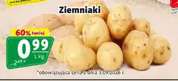 Prim Market Ziemniaki oferta